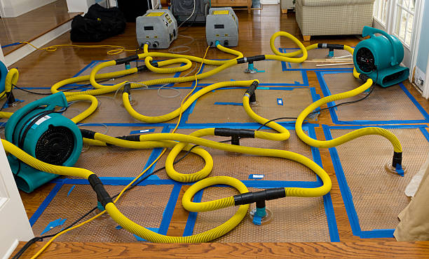 Professional Structural Drying And Dehumidification technician working in Harrah, WA